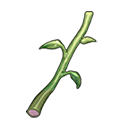 植物梗