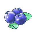 冻干蓝莓