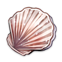 贝壳