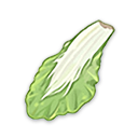 白菜叶